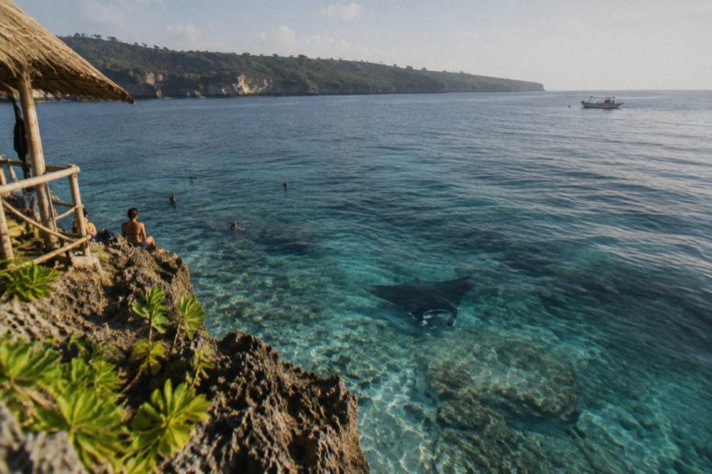 A manta ray gliding beneath the surface near a rocky cleaning station