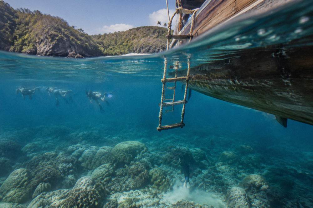 Snorkelers floating above coral in clear blue water near a boat ladder