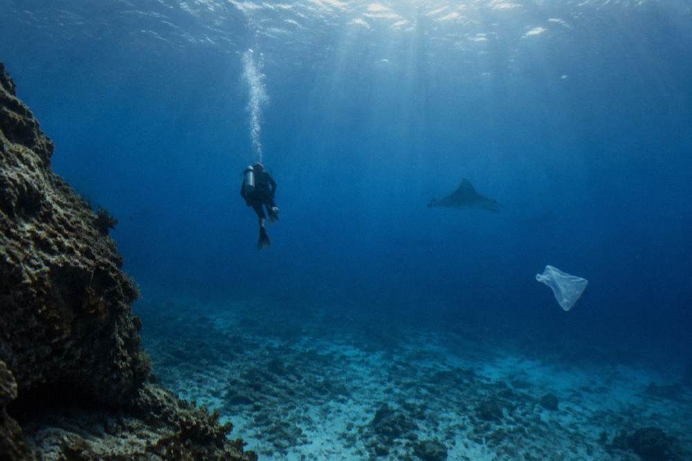 A diver in scuba gear descending into clear blue tropical water