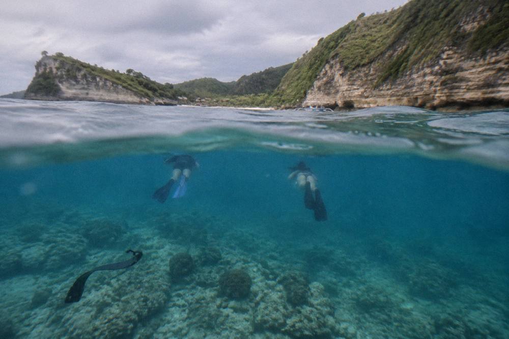 Snorkelers floating on the surface above a coral reef in clear water