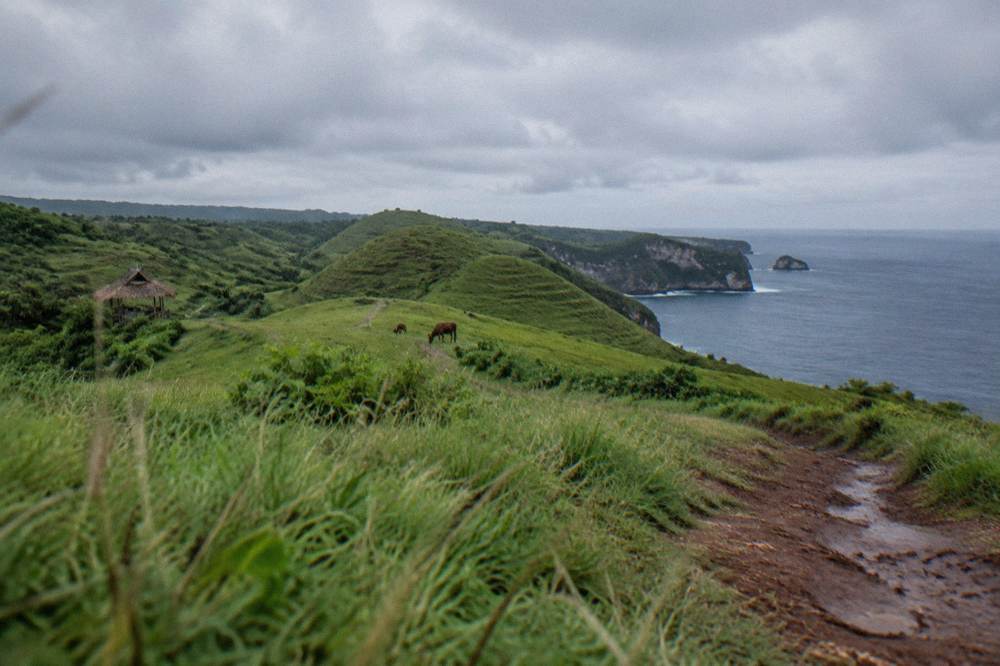 Rolling green hills above the east coast of Nusa Penida under a wide sky