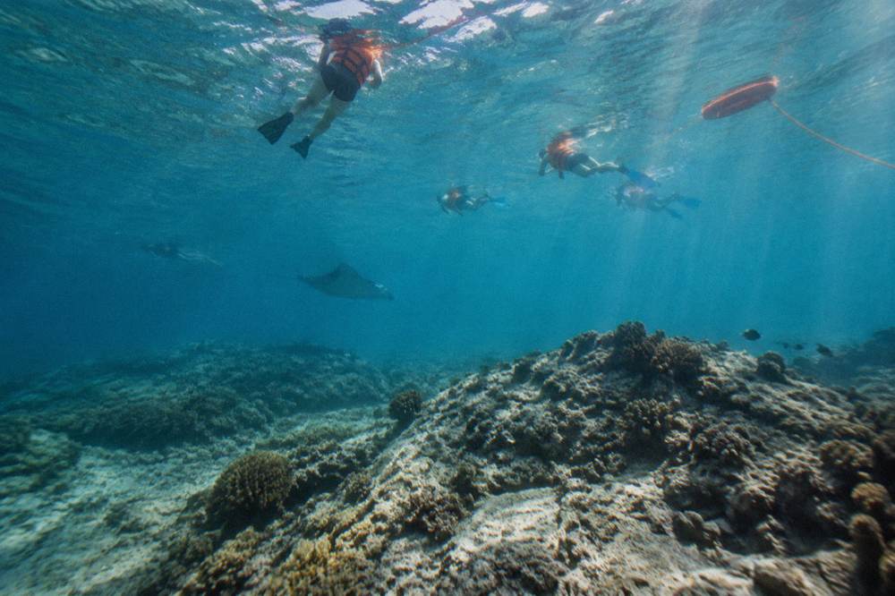 Snorkelers in calm clear water above a coral reef near Nusa Penida