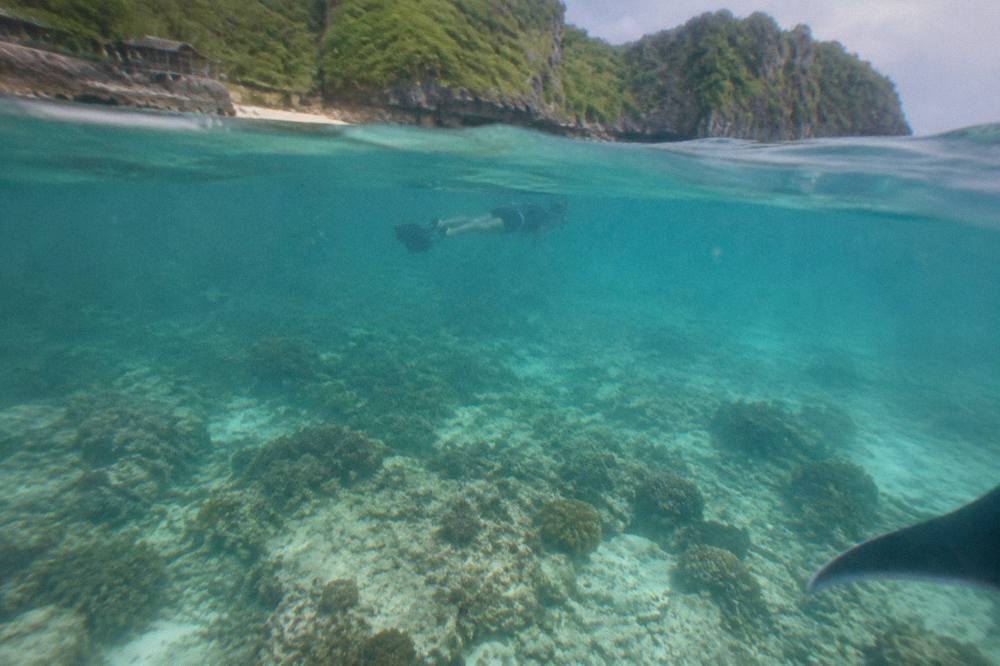 A snorkeler floating on the surface above a coral reef in clear turquoise water
